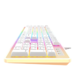 Clavier gamer HAVIT KB876L RGB Backlit